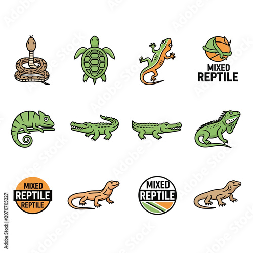 Diverse Reptile Collection: Snake, Turtle, Lizard, Crocodile, Iguana, Chameleon Icons