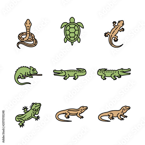 Set of nine cartoon reptile icons: snake, turtle, lizard, chameleon, crocodile, iguana
