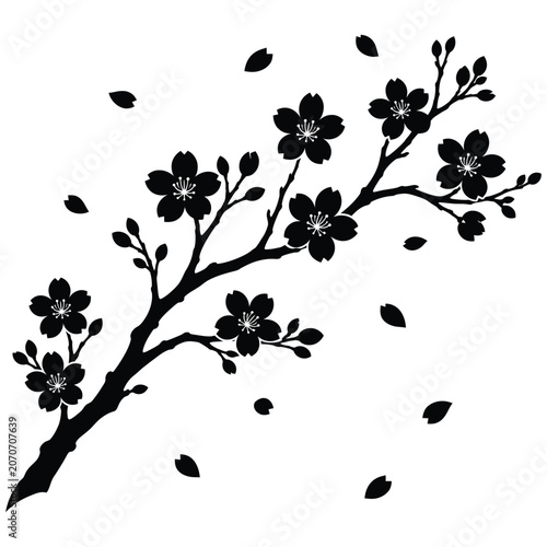 Black silhouette of cherry blossom branch with falling flower petals on transparent.