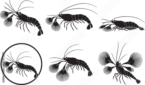 Foto Sulawesi Fan Shrimp Silhouette Icon Set Black Freshwater Shrimp Vector Collectio