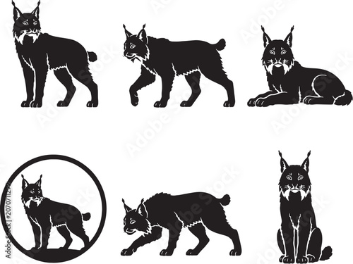 Photography Lynx Silhouette Icon Set Black Vector Wild Cat Wildlife Collection