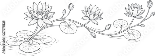Εκτύπωση καμβά waterlily
