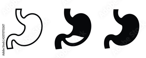 Stomach Anatomy Icon Set Human Digestive System Medical Healthcare and Organ Vector 
Illustration