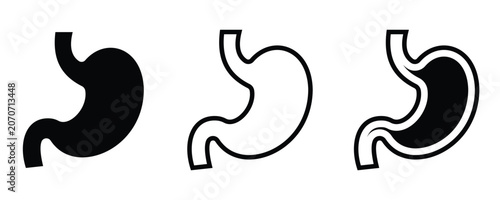Stomach Anatomy Icon Set Human Digestive System Medical Healthcare and Organ Vector 
Illustration