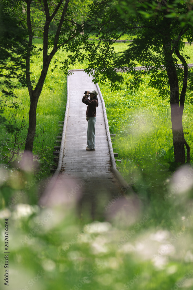 Fototapeta premium Boardwalk forest person binocular nature wetland tree meadow wildlife observation Person using binocular wooden boardwalk through lush green forest wetland, surrounded by tree, meadow grass