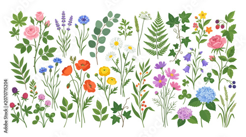 Vibrant Wildflower Collection: Roses, Poppies, Lavender, Ferns, Ivy, Cosmos, Hydrangea