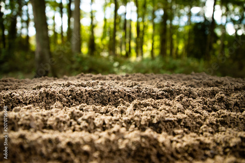 Bild auf Leinwand Soil texture covers fertile earth