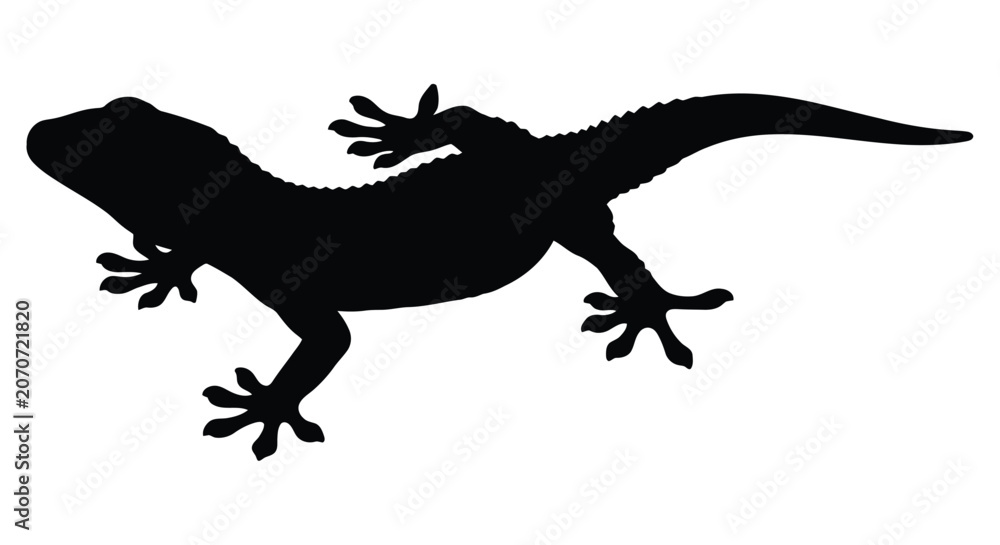 Obraz premium Lizard Silhouette On White Background Minimalist Reptile Shape