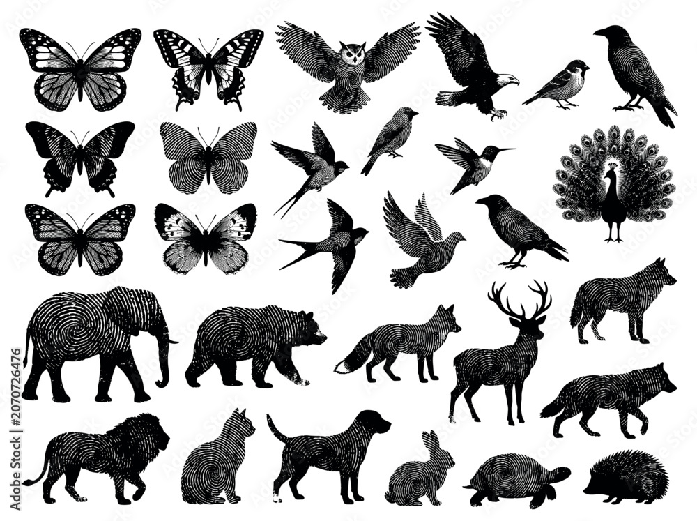 Obraz premium Wildlife biodiversity collection showing fingerprint animal silhouettes