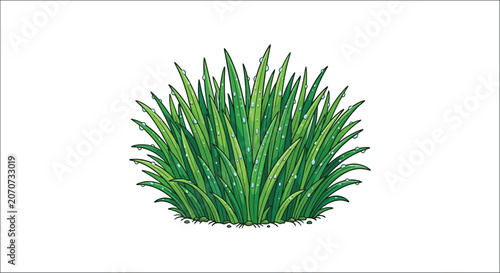 Canvastavla Grass clump with water droplets vibrant vector illustration on a white backgroun