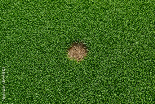 A small patch of missing grass in a perfect green lawn.