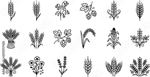Set of agricultural crop and grain plant icons vector with agriculture, illustration vector