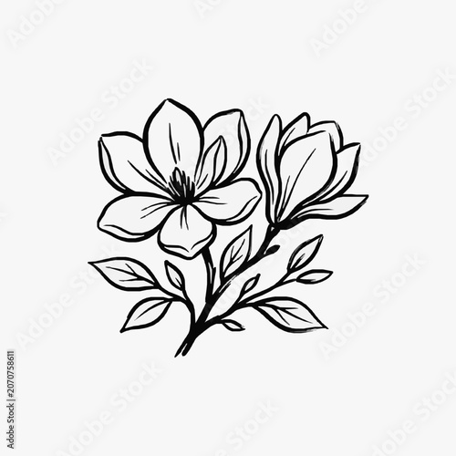 Black and white line art of blooming daisy flower.