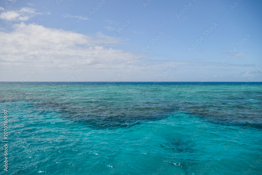Obraz premium Great Barrier Reef, Coral Sea, off the coast of Port Douglas, Queensland, Australia.