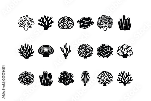 Black and white vector illustration of collection of various coral reef and seaweed black and white icons on