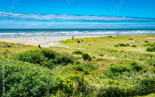Ocean View Moclips 2