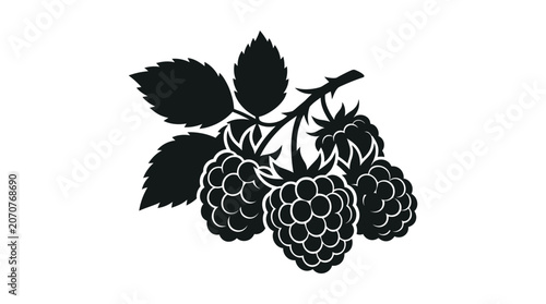 Raspberry branch with leaves black silhouette raspberries