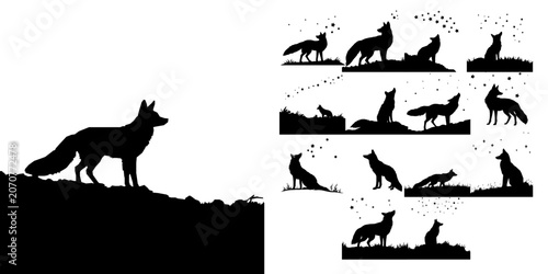 Quadro su tela Fox Watching the Stars Silhouette