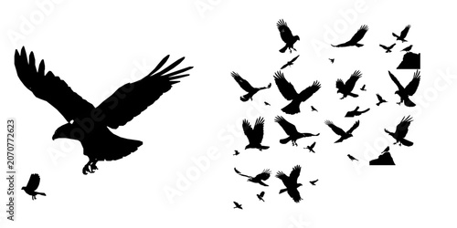 Canvas-taulu Hawk in Pursuit of a Sparrow Silhouette