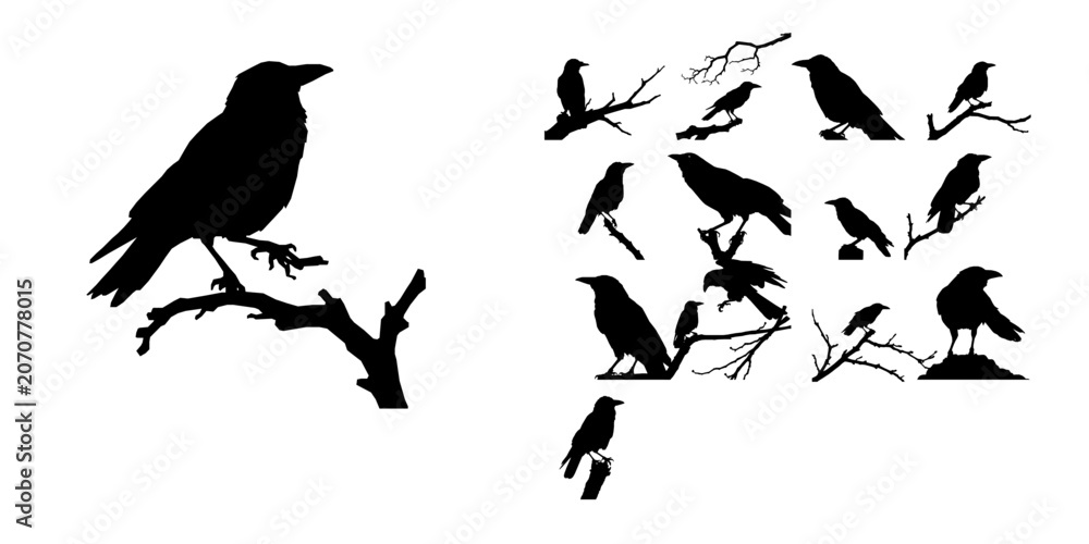 Fototapeta premium Crow Silhouetted Against the Moon Silhouette