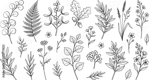 Vector floral illustration of various leaves and flowers in black and white, botanical design elements, graphic style, illustration set