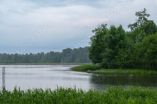 summer landscape with lake
