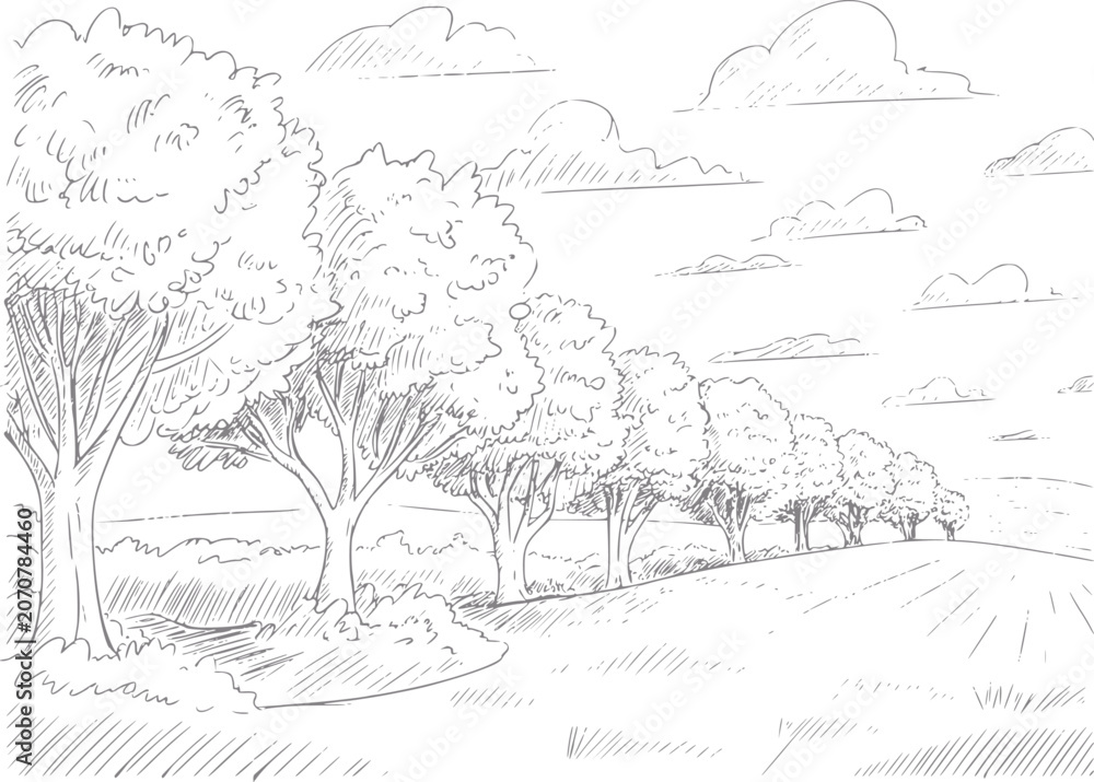 Obraz premium Of a tree-lined path leading through rolling hills under a cloudy sky