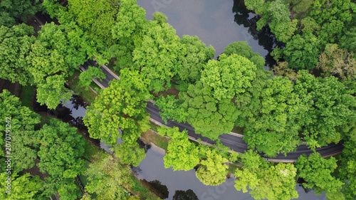 Winding Road Through Lush Forest and Reflective Water