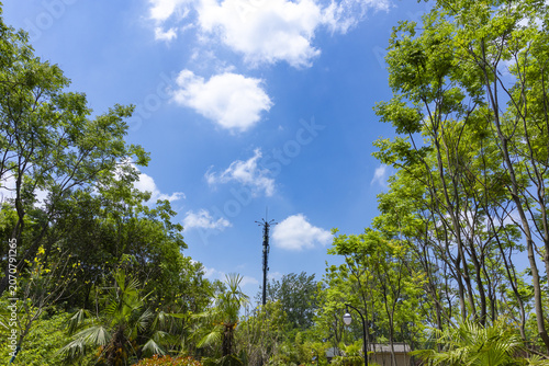 Lush Green Park Under Blue Sky With Communication Tower
