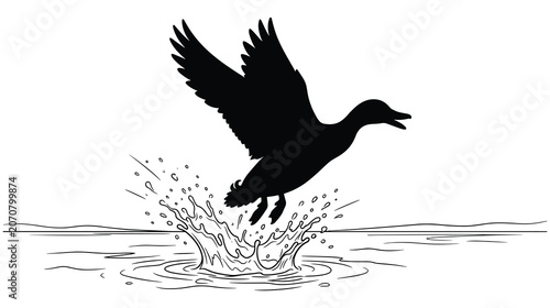 Schilderij op canvas Black silhouette of flying mallard duck landing on water with big splash