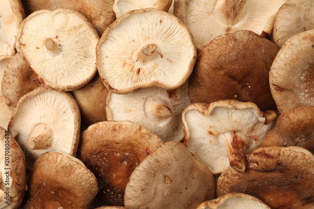 Fototapeta premium Many raw shiitake mushrooms as background, top view