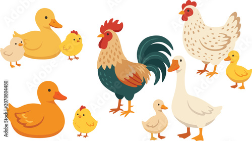 Quadro su tela Cute Farm Birds and Poultry Vector Icon Set with Rooster Hen Chicken Duck Goose