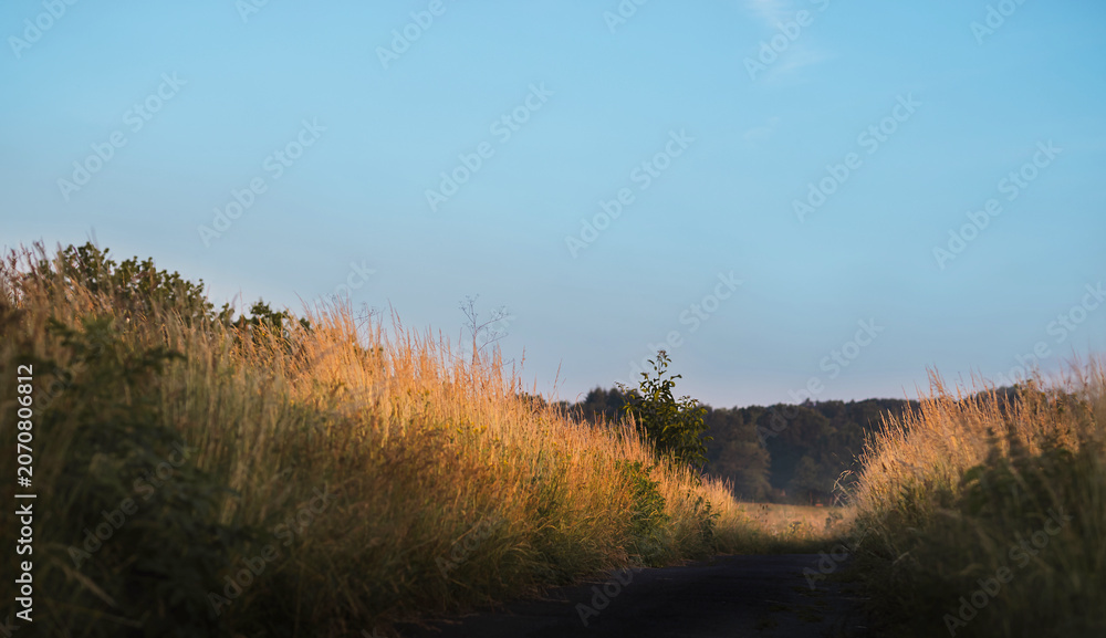Obraz premium Natur am Morgen Feldweg zum Sonnenaufgang im Hitze Juni