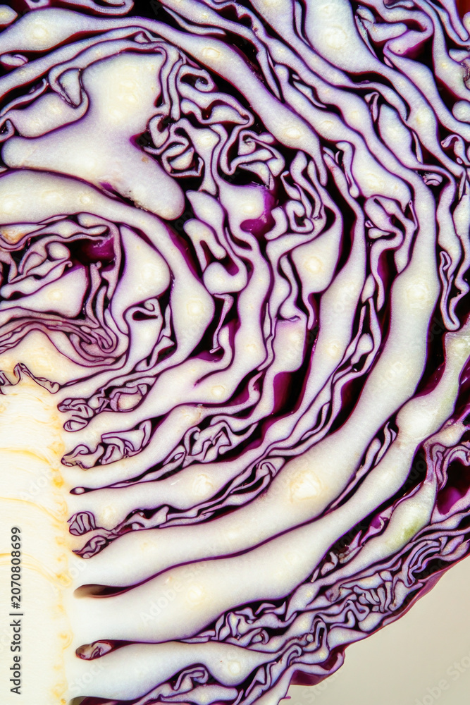 Obraz premium A close-up shot of a red cabbage on a white surface, great for use in food-related contexts vertical frame