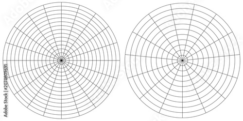 Coaching tool. Polar grid of 10 segments and 5 concentric circles. Circle diagram of lifestyle balance. Wheel of life template. Vector blank polar graph paper. Blank.