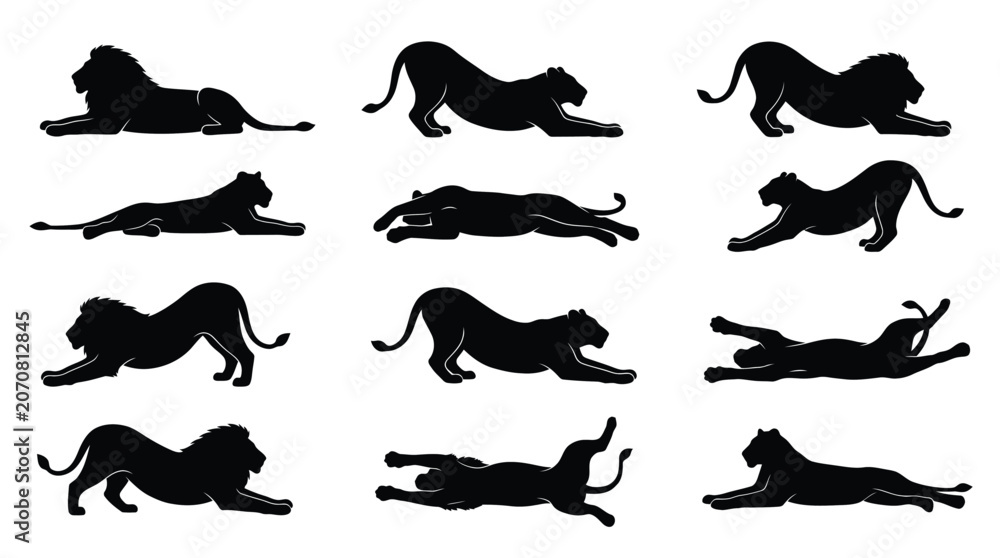 Fototapeta premium Black silhouettes of lions and leopards lying and running Vector