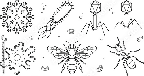 Fotografie Microbiology and insect organism line art vector icon set with virus bacteria ba