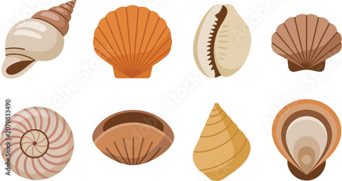 Foto Sea shell icons illustration set, generic conch scallop cowrie mussel nautilus clam and oyster shells
