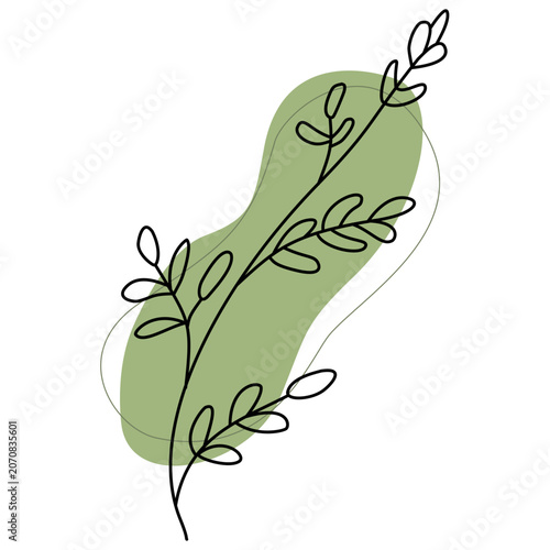 Minimalist Greenery Line Art with Organic Green Shape Background