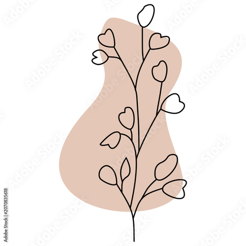 Minimalist Floral Line Art with Organic Peach Shape Background