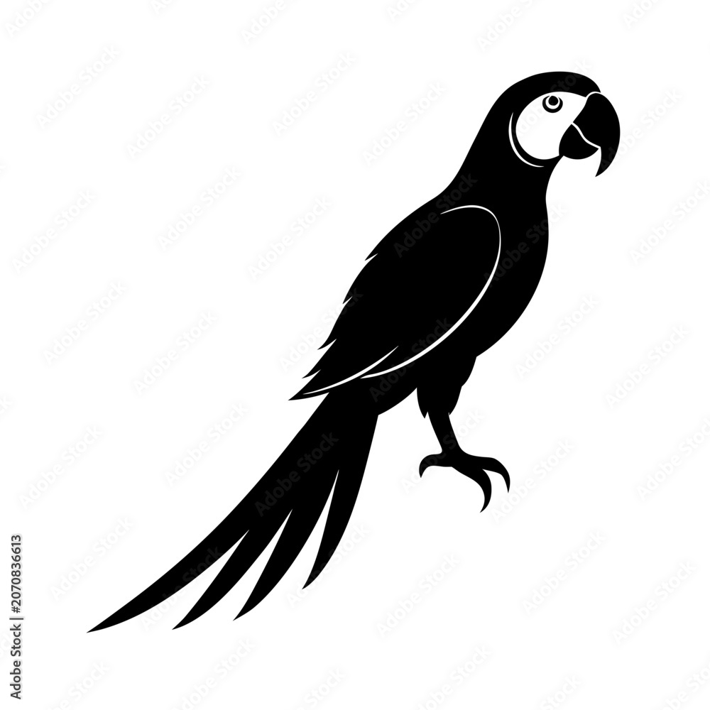 Fototapeta premium Black silhouette macaw parrot bird standing on transparent background isolated graphic