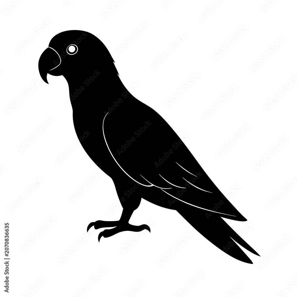 Fototapeta premium Black silhouette of a parrot perched on transparent background vector illustration