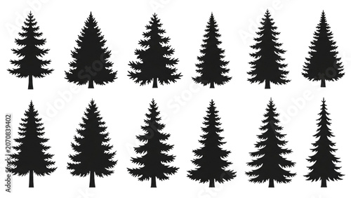 Quadro su tela A collection of pine tree silhouettes against a white background