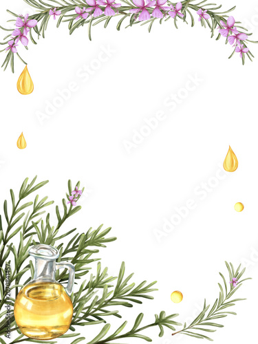  Watercolor Rosemary Frame with Rosemary  garland, Oil Carafe, Flowers, Oil Drops, Hand drawn botanical Illustration 