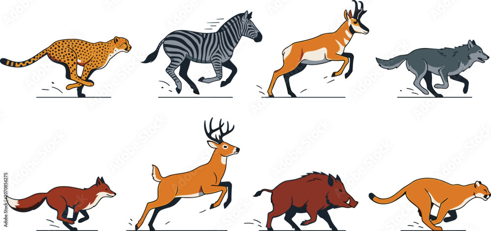 Obraz premium Running Wildlife Animal Collection Featuring Cheetah Zebra Antelope Wolf Fox Deer Boar and Cougar in Dynamic Motion Vector Set