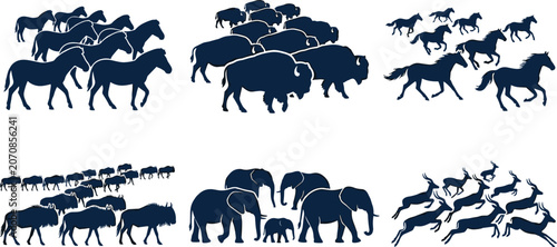 Photography Wild Animal Herd Silhouette Collection Featuring Horses Bison Cattle Elephants a