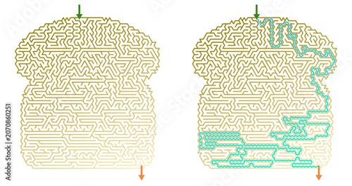 Bread-shaped solved maze vectorwith pathways in two contrasting colors  
