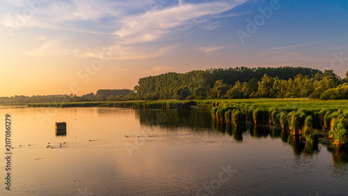 Golden Serenity over Harchies Marshes