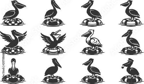 Collection of funny pelican bird icons on life buoys in various poses for nautical and summer themed designs