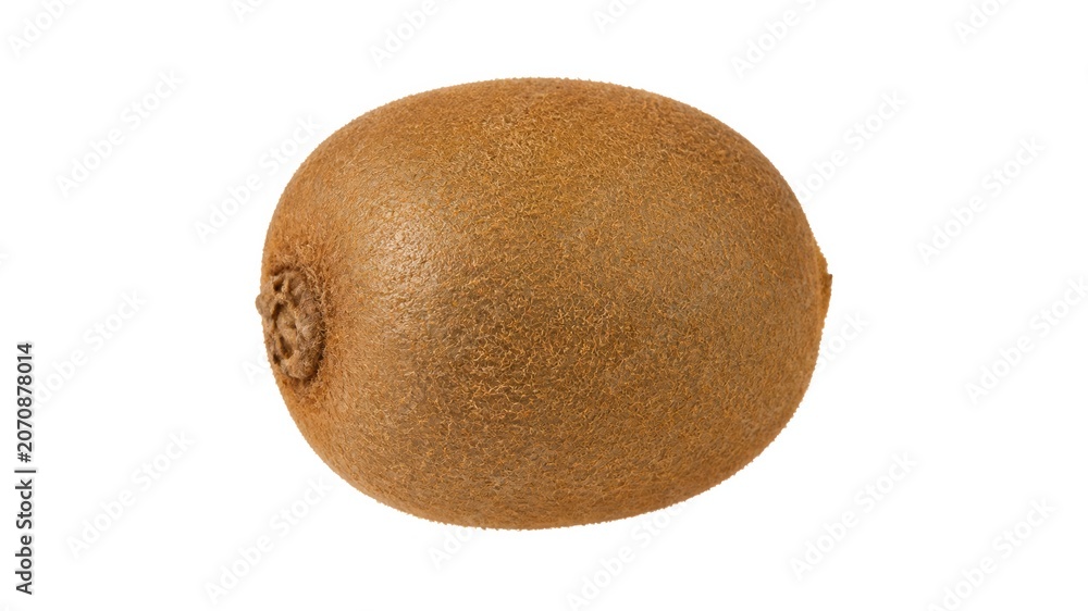 Fototapeta premium Kiwi fruit sits on a plain background showing its brown skin and round shape